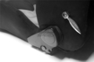 Picture of Buddy Club Seats - Racing Spec Sport Reclinable  Color: Black