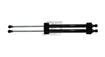 Picture of Rexpeed Carbon Fiber Hood Dampers - 2022+ BRZ/GR86