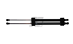Picture of Rexpeed Black Series Hood Dampers - 2022+ BRZ/GR86